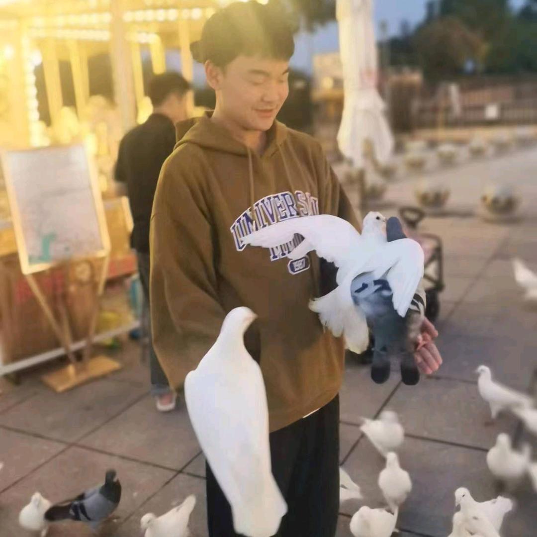 达少爱弹小星星