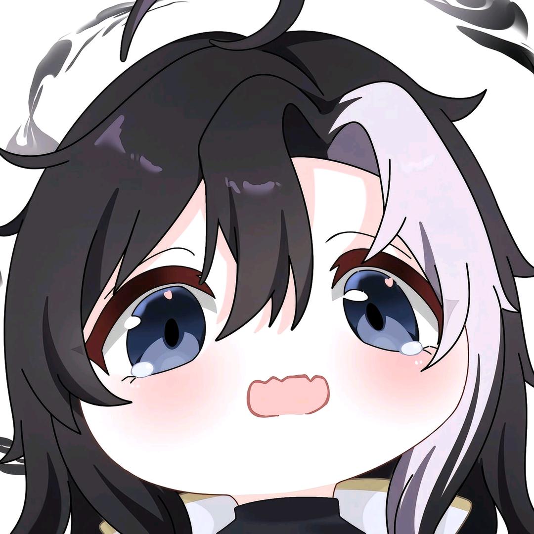 🐨🐨🐨