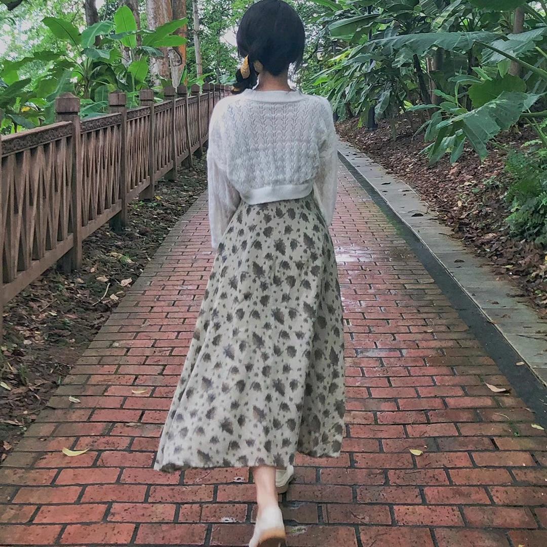 孤梦里