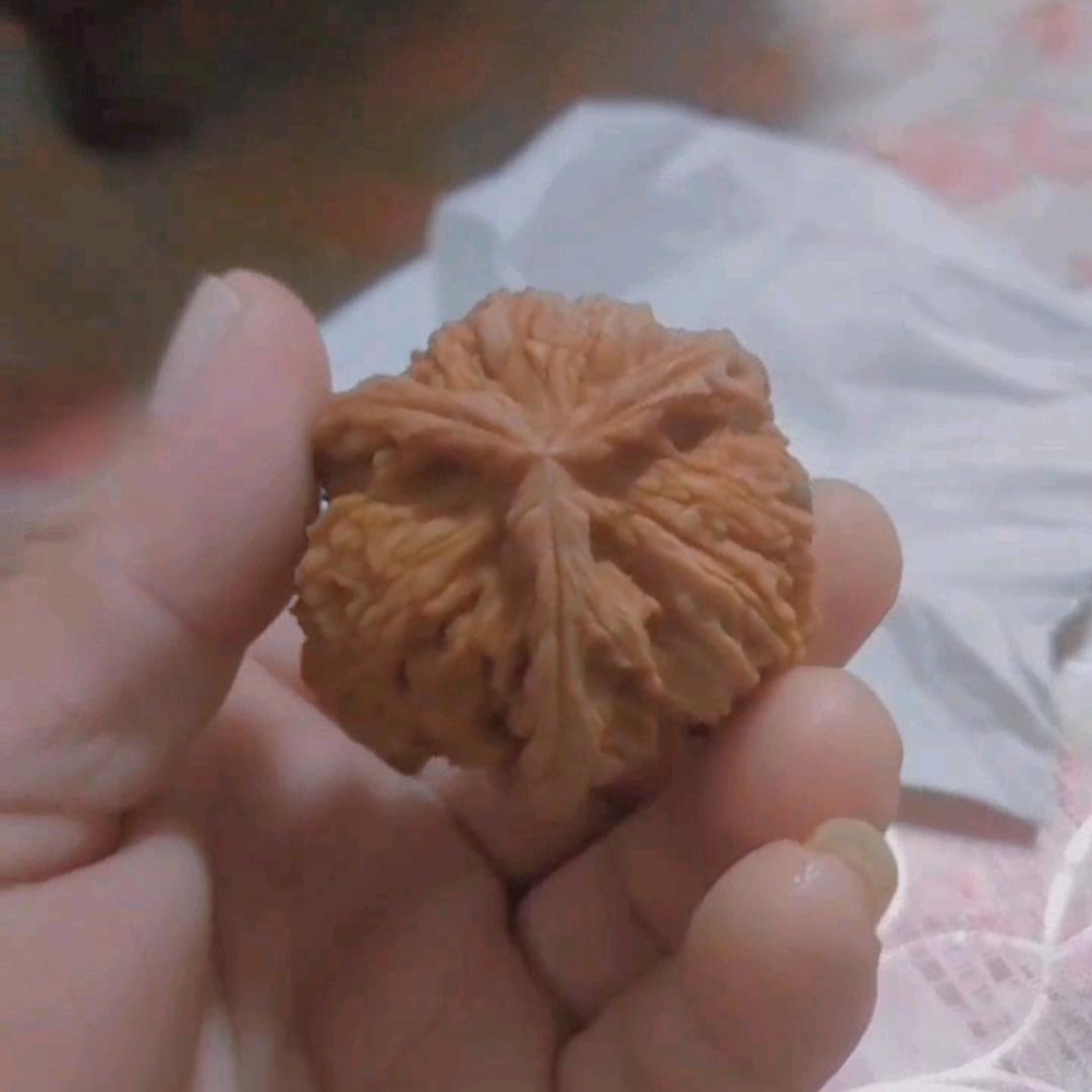 河北王钢蛋