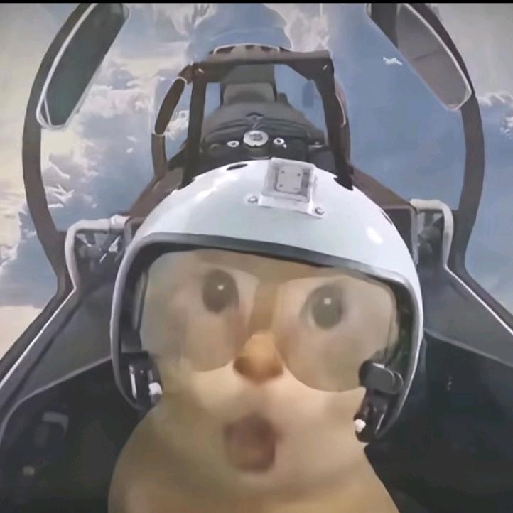 威风的猫（三角洲行动）