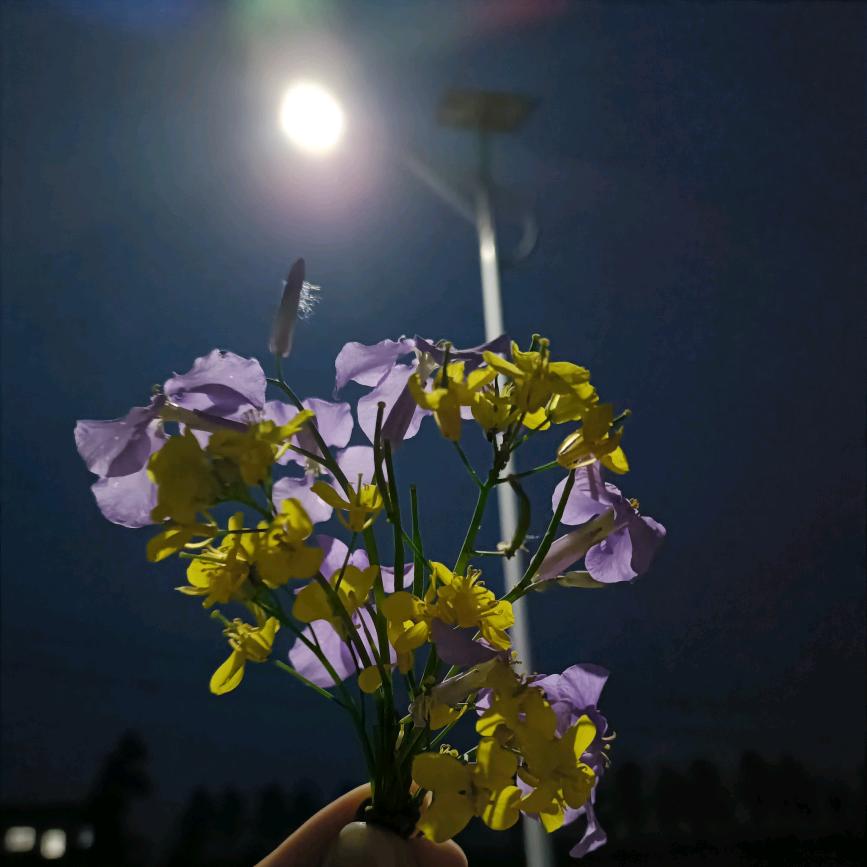 未来可期(欣飒)