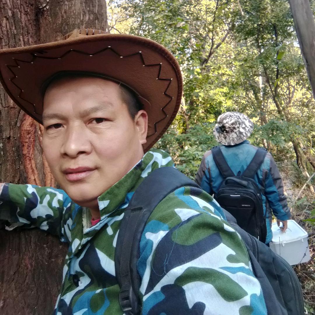谭氏，正宗野生纯土蜂蜜，悬崖蜜