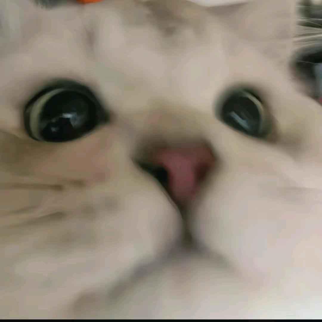 那年我双手插兜