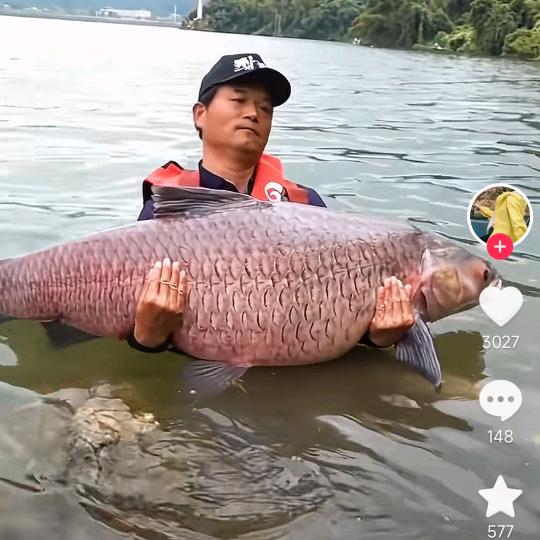 ，爱是非你不可