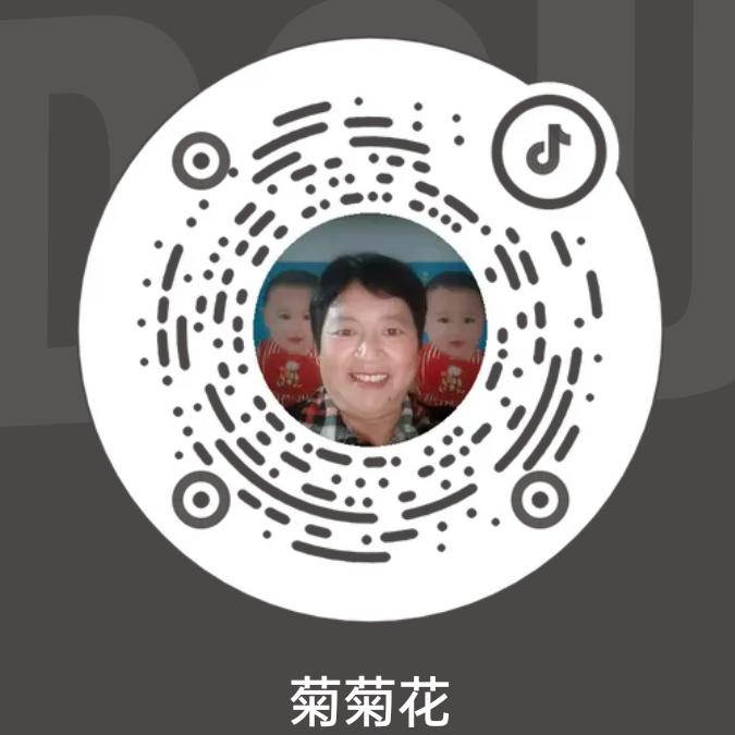 菊菊花