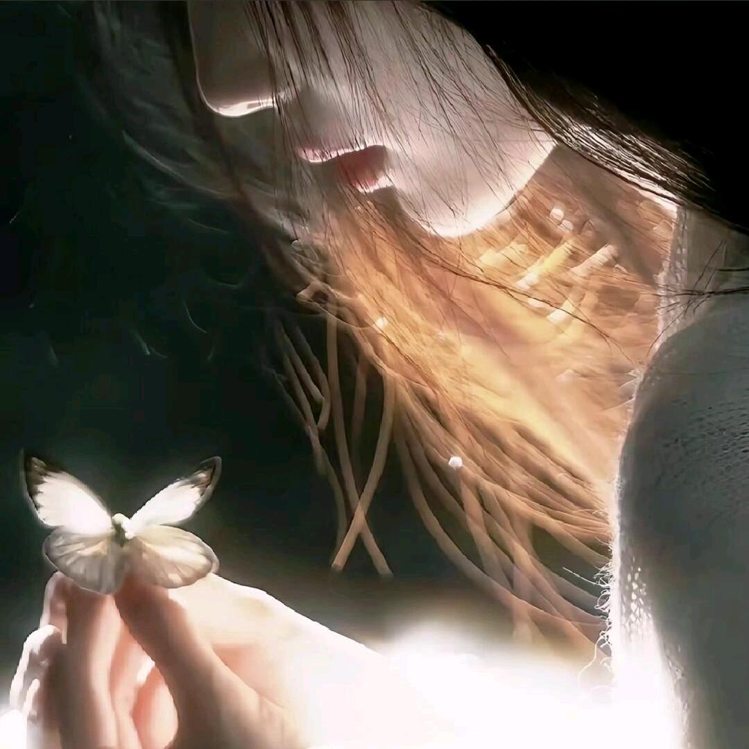 摇曳幽姿花似雪