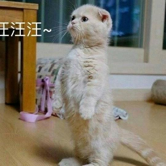 ❤️追风少年♨️⁷²⁰