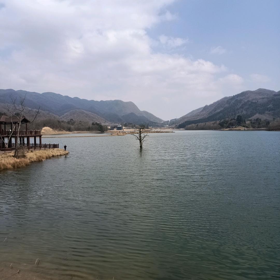 崇圆静婉