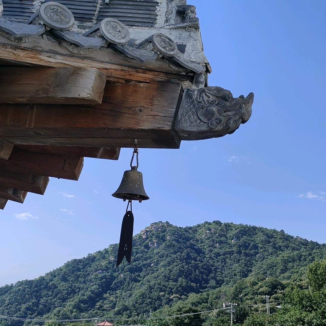 俩宝奶