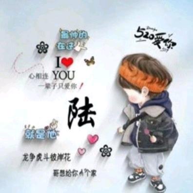 এ小陆不迷路