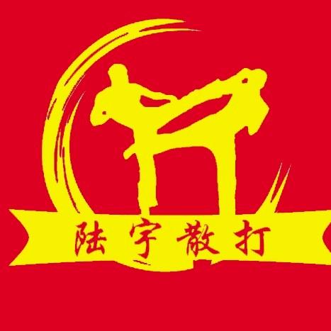 陆宇格斗