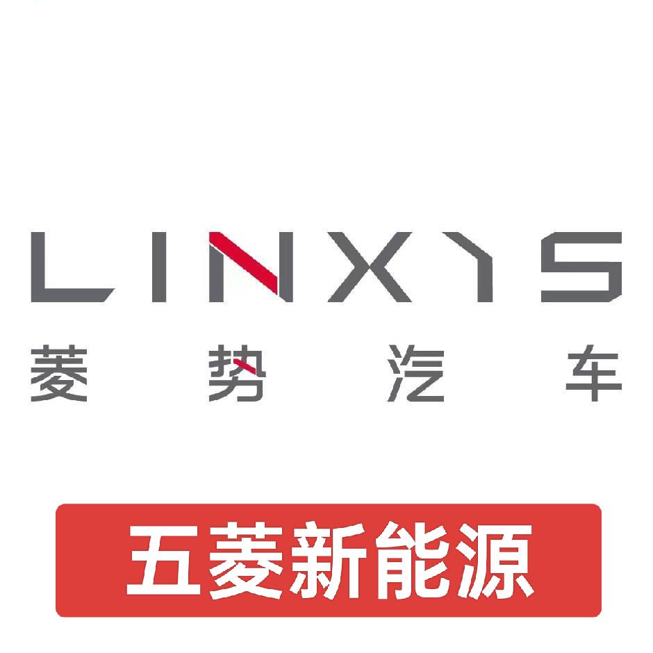 阜阳菱势之星汽车销售有限公司