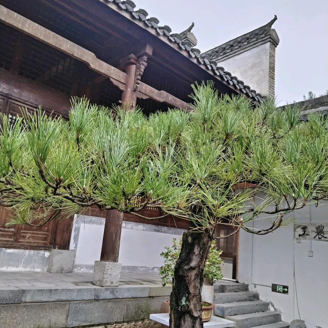 一生牵挂