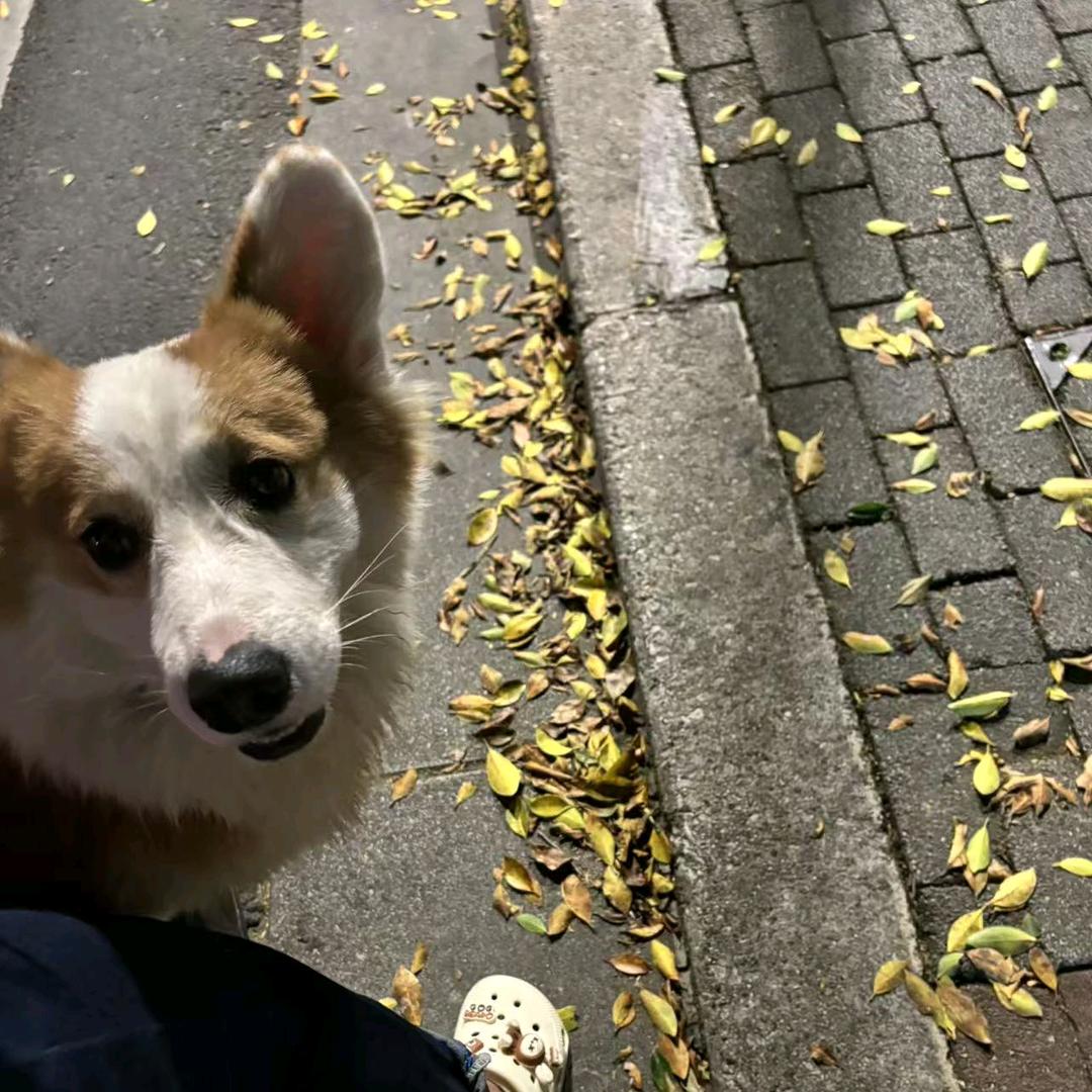 许愿年年。