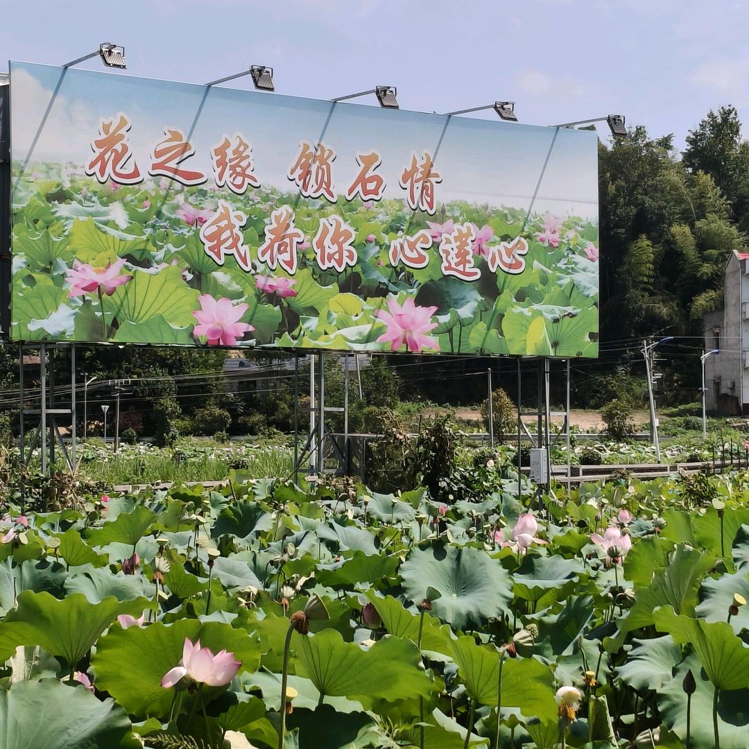❤️小米❤️