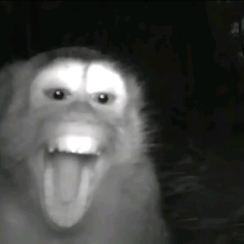 努力长头发等1536个人