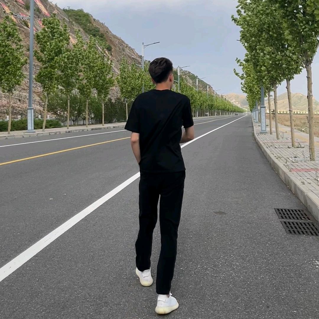 梧桐树的梧富贵