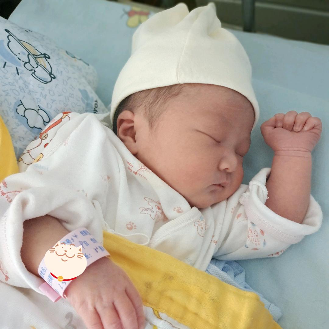 西米成长记(1岁)