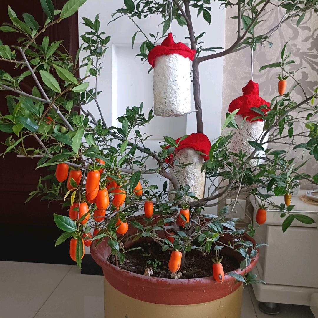 走自己的路，看自己的风景