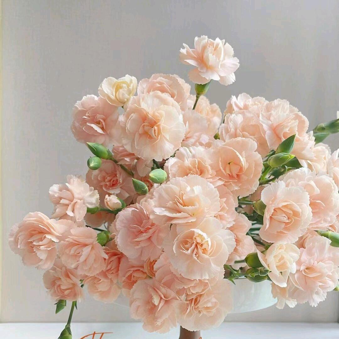 衡水绿叶房产团购十落户