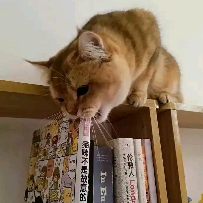 颠勺治好了腱鞘炎