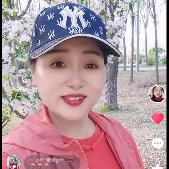 紫罗兰