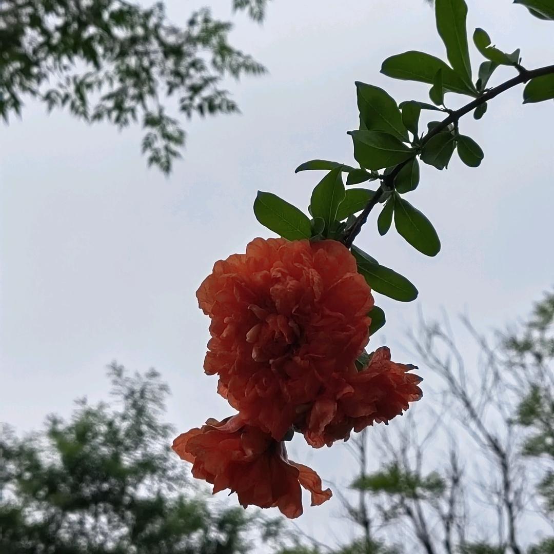 水样年华