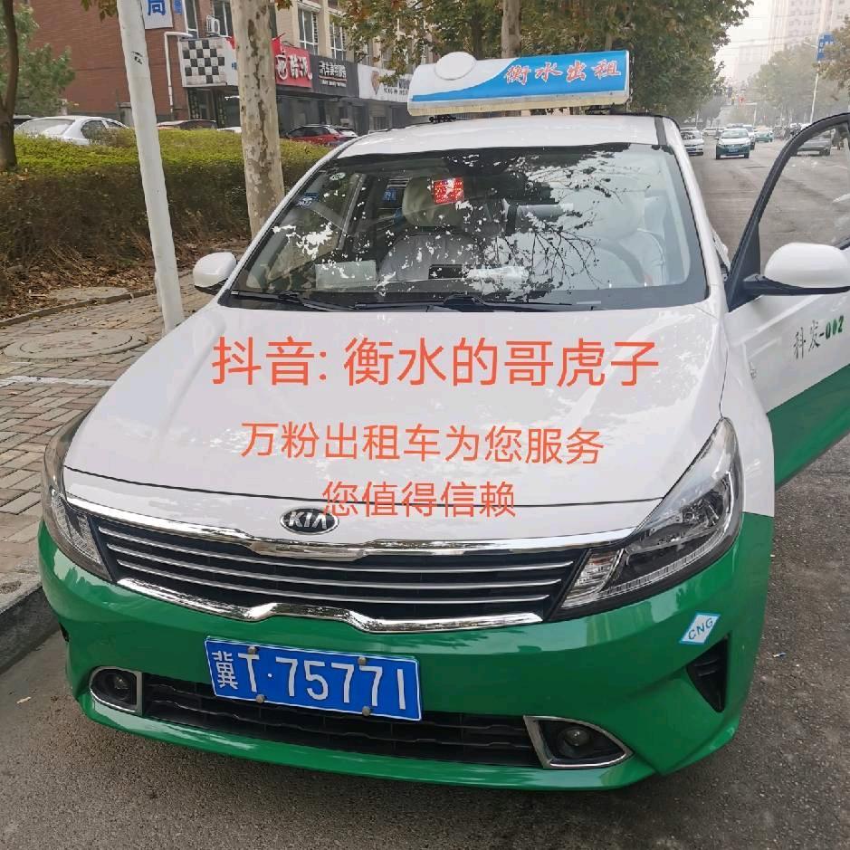 衡水的哥虎子