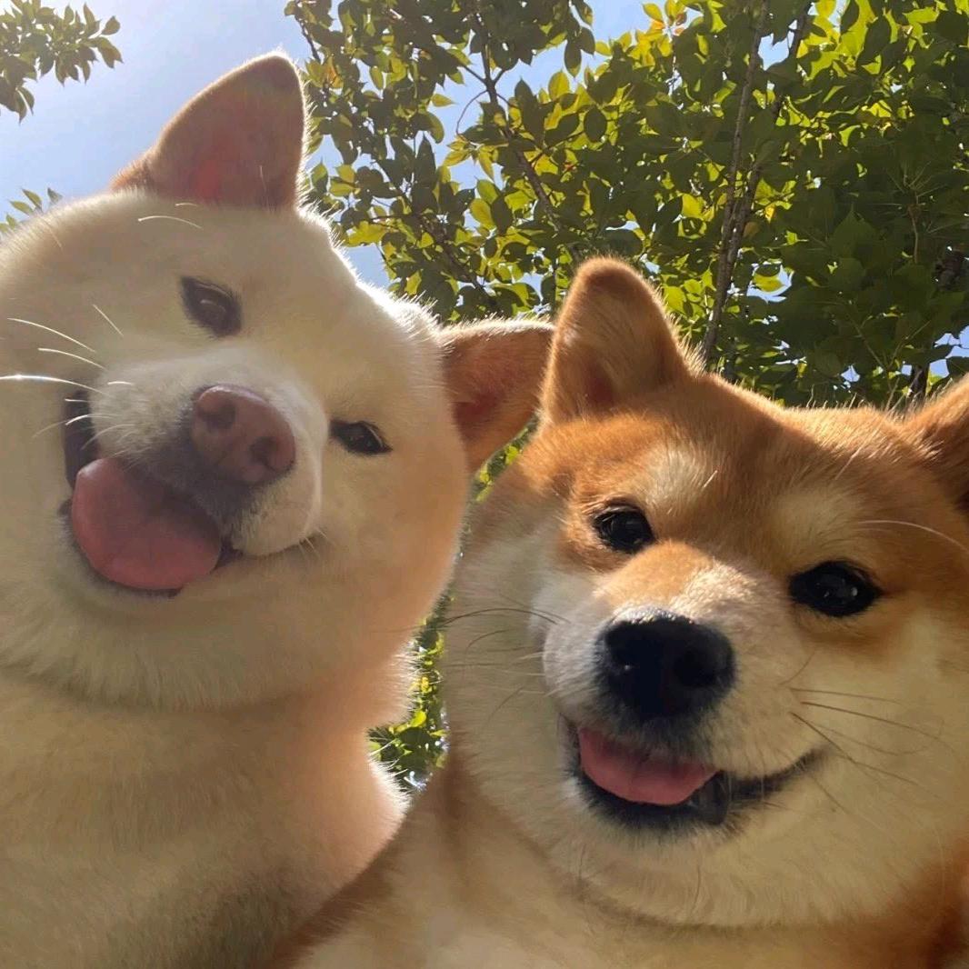 逆天