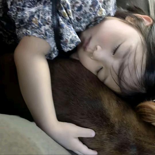 今天听破破唱歌了没