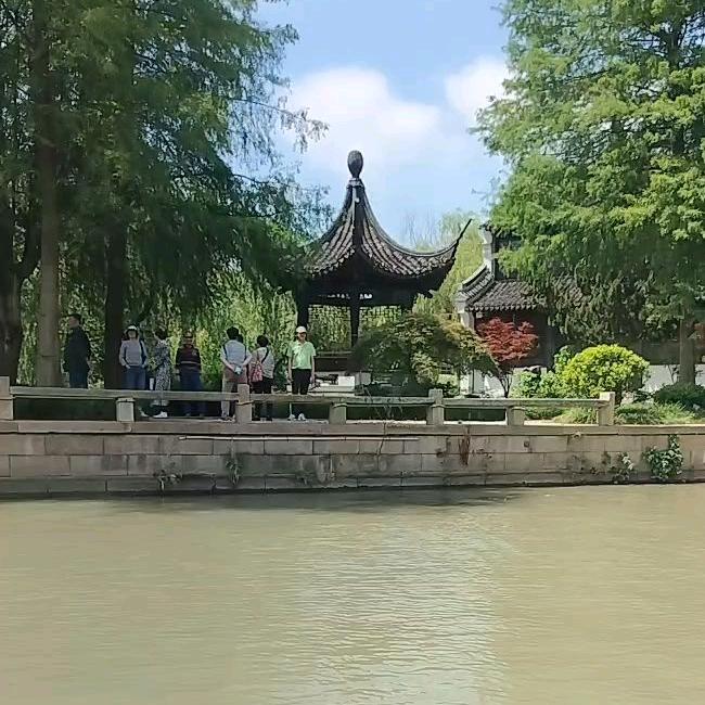 凤阿姨
