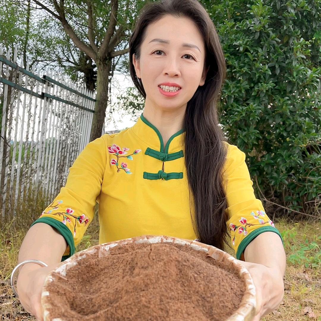 华麸 茶麸