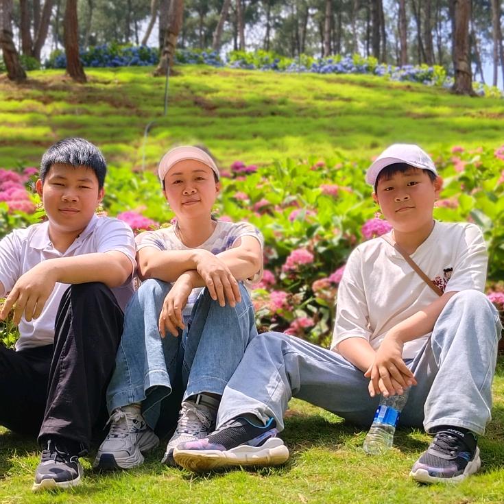 罗菊