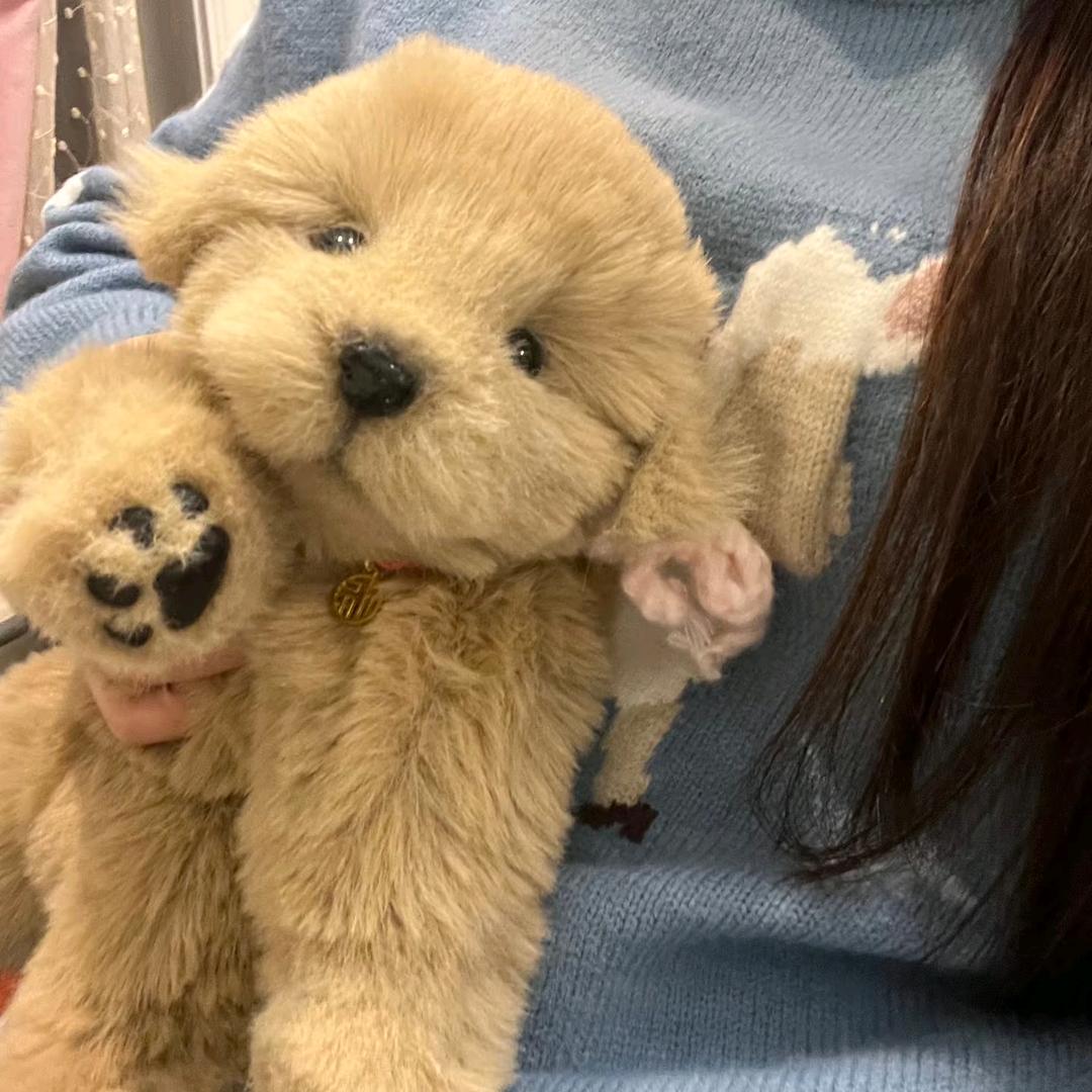 金毛🐶