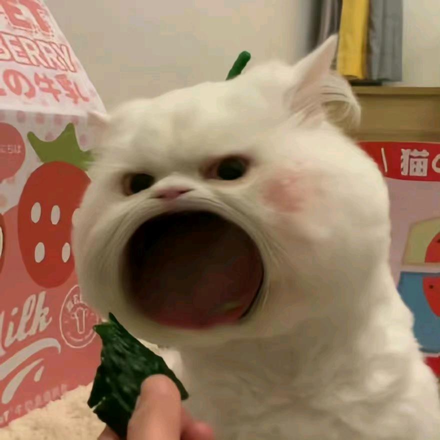 一只幸运喵(>^ω^<)