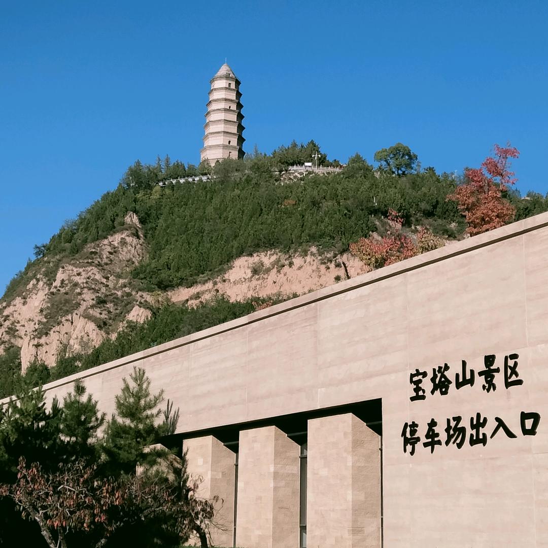 龙腾小铺H93