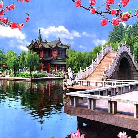 杨哥