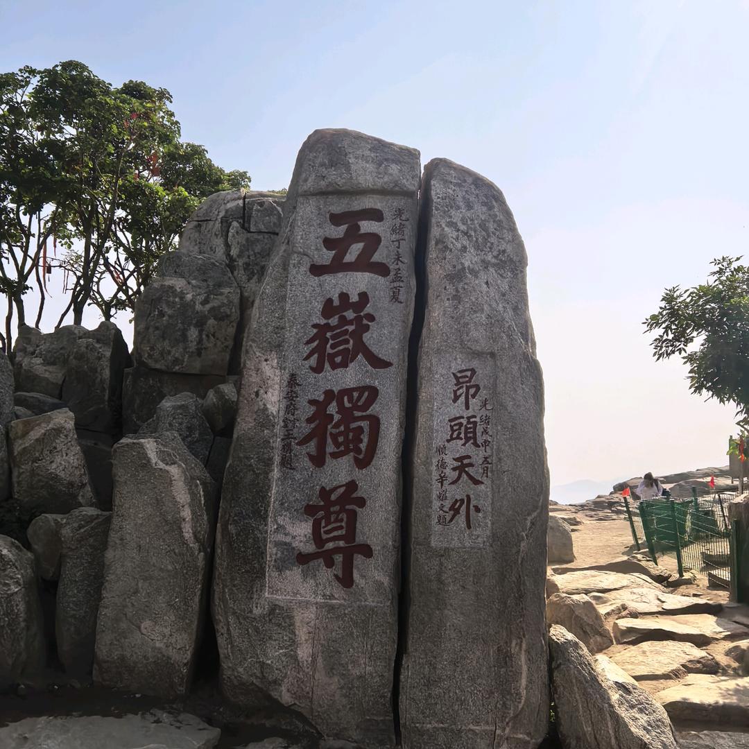 龙鹰