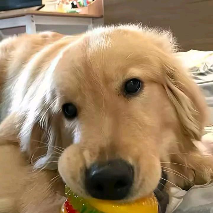 ઇଓ南卿⋆☽︎︎·̩͙