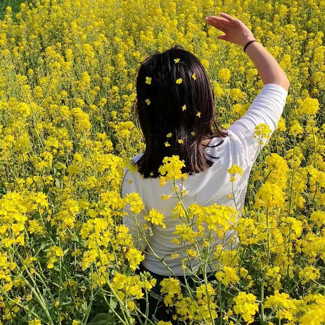 ᨳᩚᤢᤣ꯭许姑娘࿐ᩚ