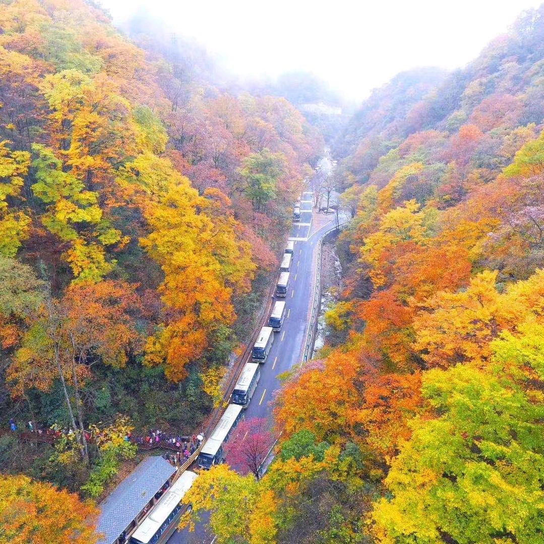 自由的心，偏翩起舞，
