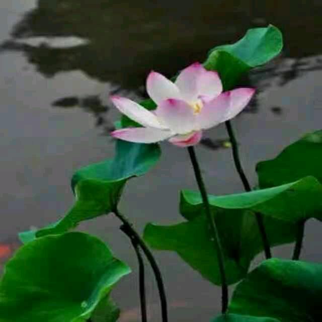 心态决定你的一切