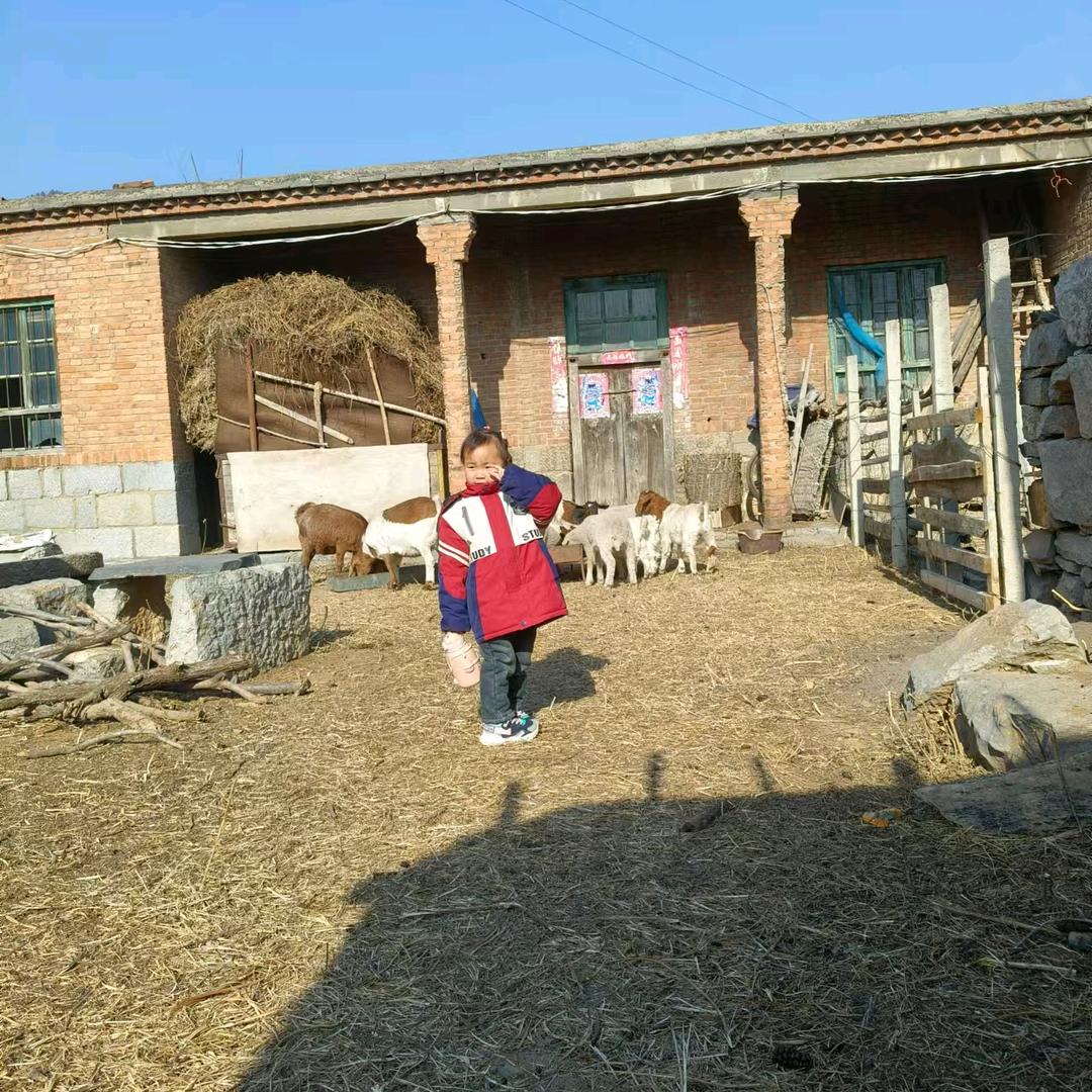 张一诺