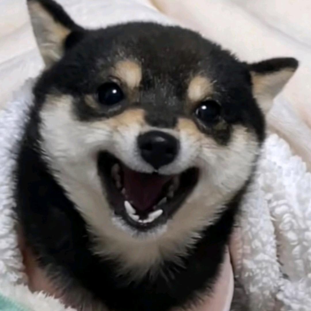 ジ略略