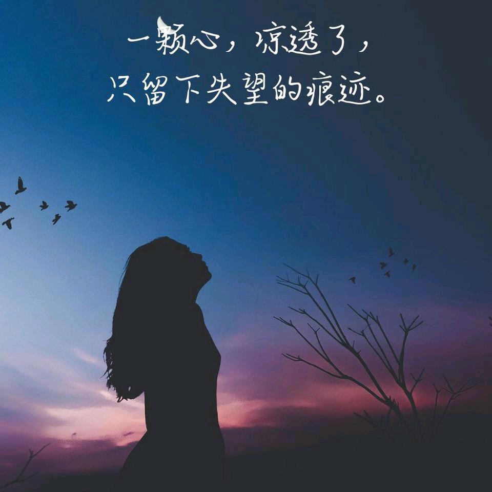 🌺熟悉的陌生人🌺