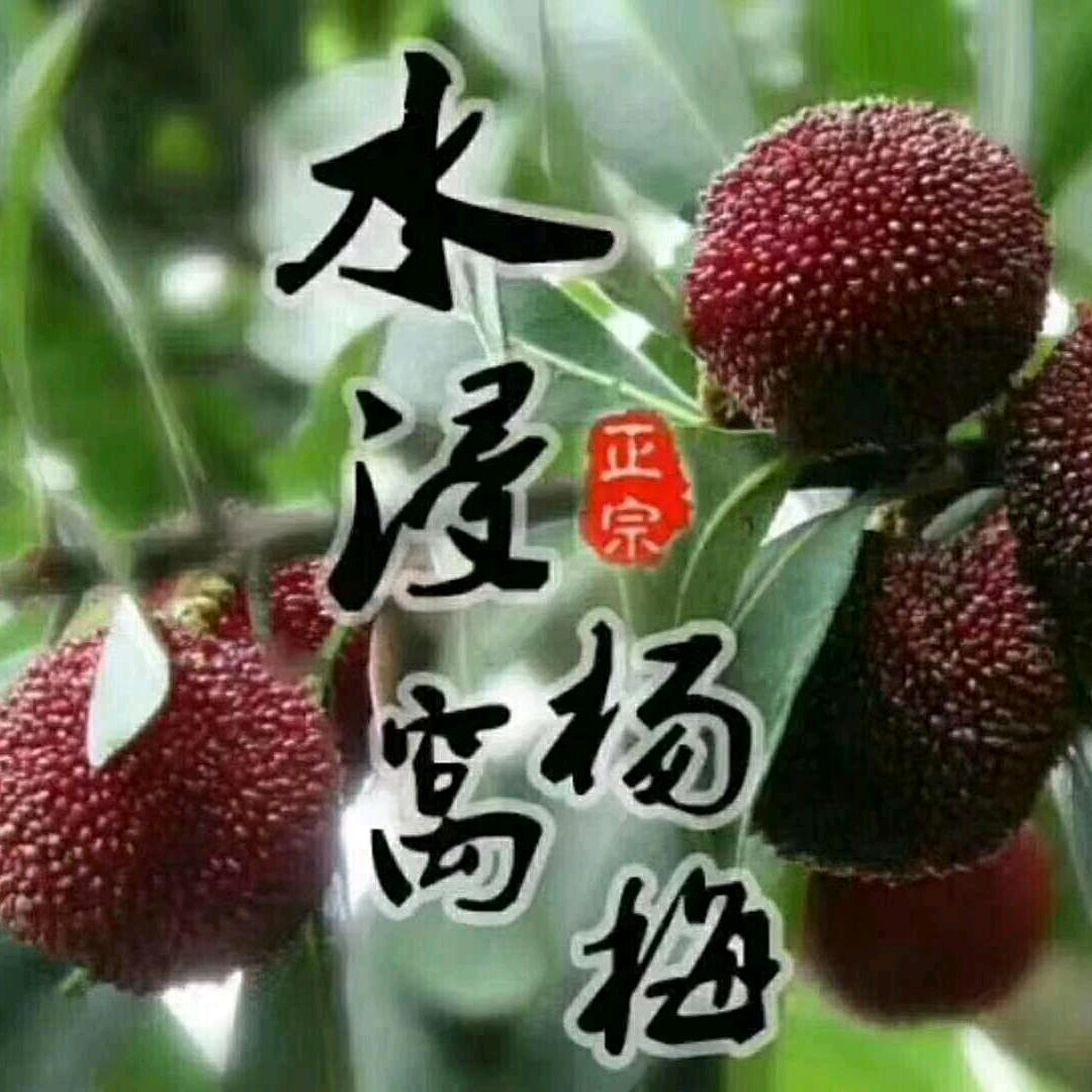 等雨来