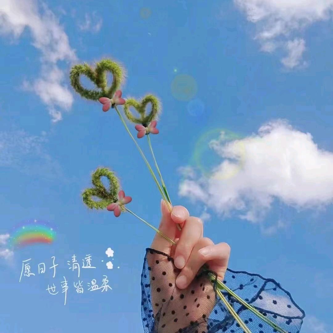 💞࿐🦋ꦿ໊诗情᭄🕊画语᭄ꦿᩚ٭