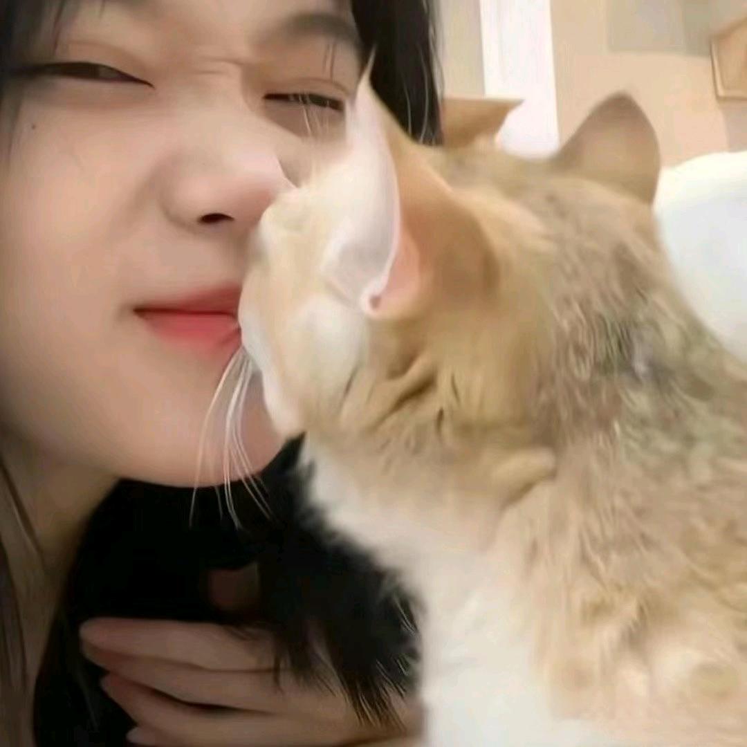 派大星爱吃瓜