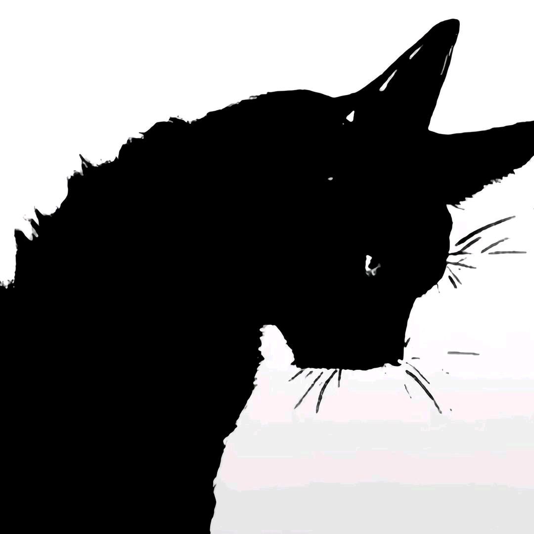 K.🐾
